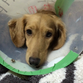 ☆すぴーすぴー☆の画像