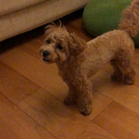 ナーイスキャーッチ！の画像