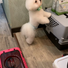 見た目と違うのです〜☆の画像