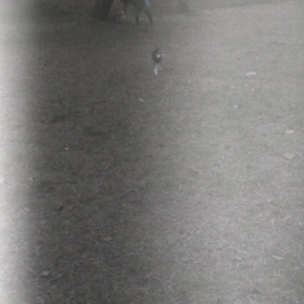 行かんのか〜いの画像