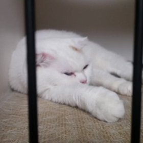 起こしちゃっての画像