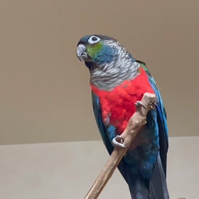 今年は、お世話になりました。の画像