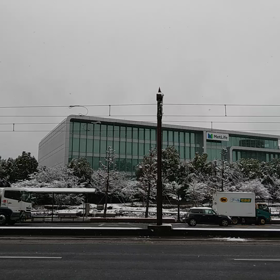 雪降りましてんの画像
