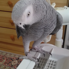 今朝も動画ですよ(￣▽￣)の画像