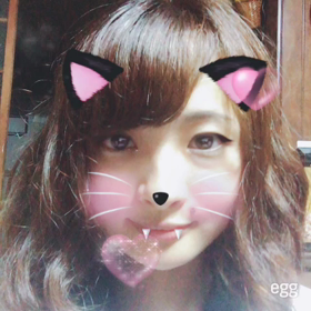 猫の気持ちの画像