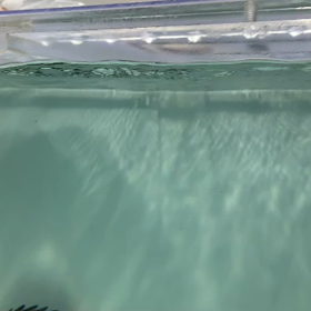 イケメン君！の画像