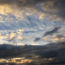 24日目(服薬)の画像