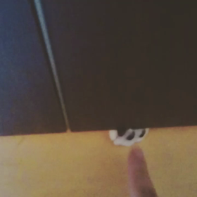 我が家の猫ちゃんvol.75 動画verの画像