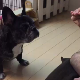 どっちの手〜にはいってるか！の画像