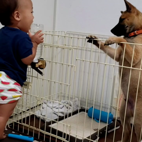 昨日の１コマの画像