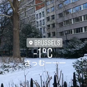 雪かよ。の画像