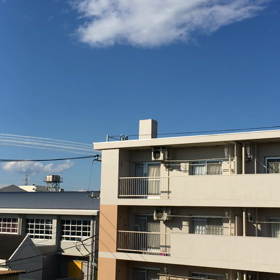 見えたのはほんの一瞬でした。の画像