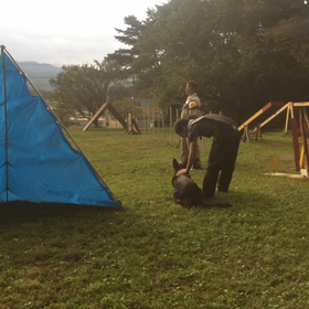 久しぶりのブログの画像