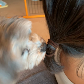 髪ゴムが欲しいのの画像