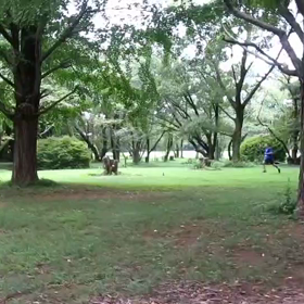 400インターバル 中間点③の画像