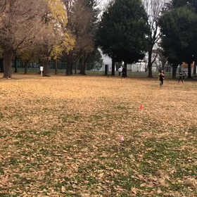 1000m２組目&1500m⑪の画像