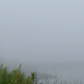 8月12日千葉北、東浪見の朝の波の画像