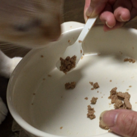 おぼっちゃまの画像