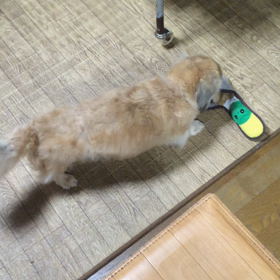 2016/04/17  おはようございます？の  画像