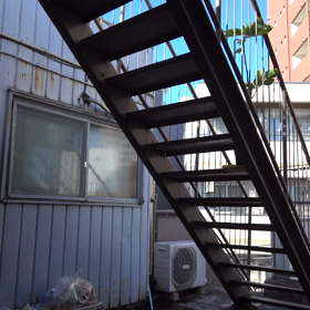 朝方も、階段下で「懸垂」始めました♪の画像