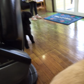 雨1日降りっぱなしの画像