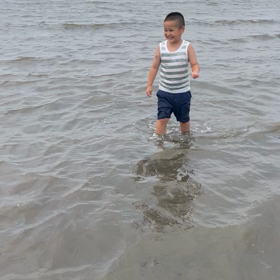 臨海公園海、動画の画像