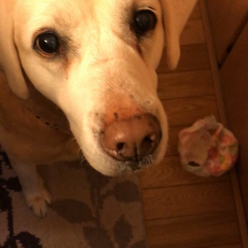 首をかしげるのは、なにゆえ？からのあの方の忘れ物の画像