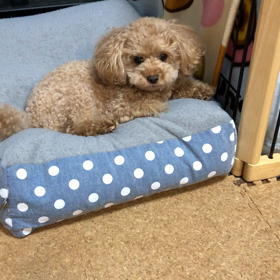 ご無沙汰しておりますの画像