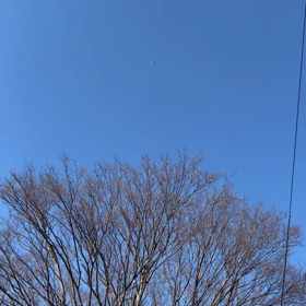 今日は快晴の画像
