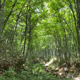 “自然と音遊び” プロジェクト vol.006！の画像