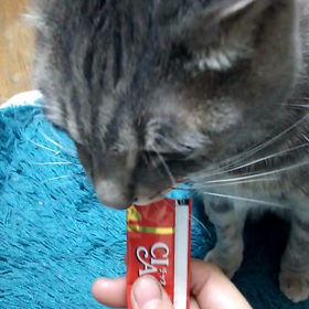 あげる時はいつもＣＭ曲が脳内再生されますの画像