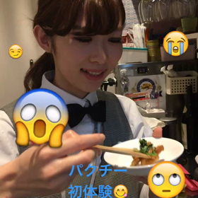 パクチーの画像