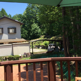 この動物はなんですか？？の画像