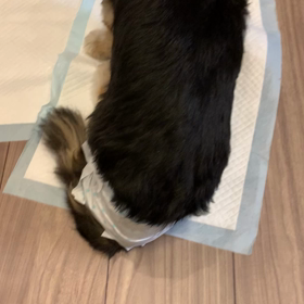 ご飯を食べるのも介助が必要になるの画像