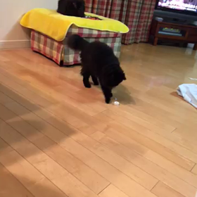 セブン^ ^の画像