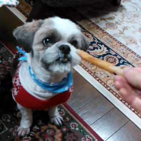 軍艦納豆！！の画像