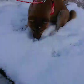 日々考え中の画像