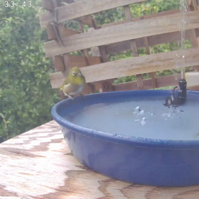 すぎぴたんの事件簿シーズン3　372話（慣れましたね。メジロ）の画像