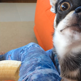 大好物は先になめてからの画像