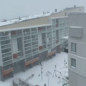 今年は特別ってホント？の画像