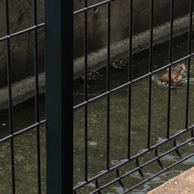 (ΦωΦ)ﾌﾌﾌ…の画像