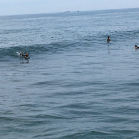 サーフィン！の画像