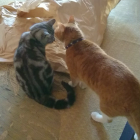 男同士の〰️(笑)の画像