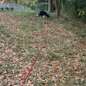 動くハンナの画像