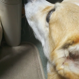 待つ男の真相の画像