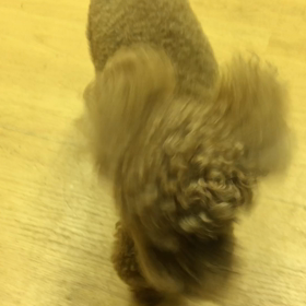 まさか、ボケてきた！？の画像