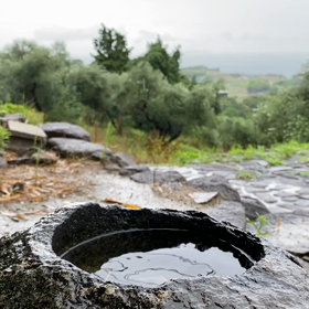 “自然と音遊び” プロジェクト vol.037！の画像