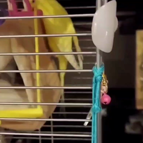 叔母に怒ってもムダだよんの画像