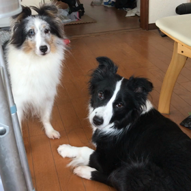 遊びたい時が合わないの画像