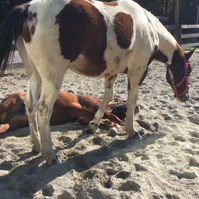 レイルくん、ジャマしないで！の画像